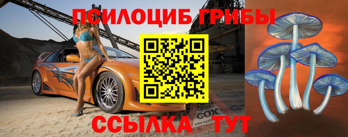 Галлюциногенные грибы мицелий  Вход с VPN  как найти   Карталы 